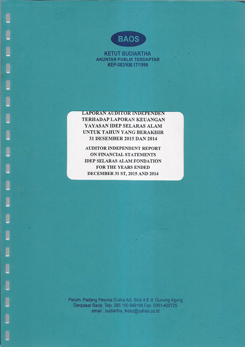 idep auditor report id en 2015