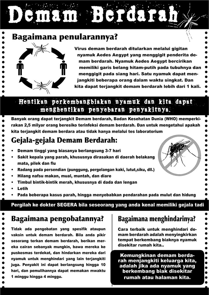 Disaster Management factsheet Dengue Fever