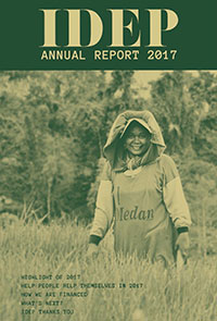 idep annual report 2017