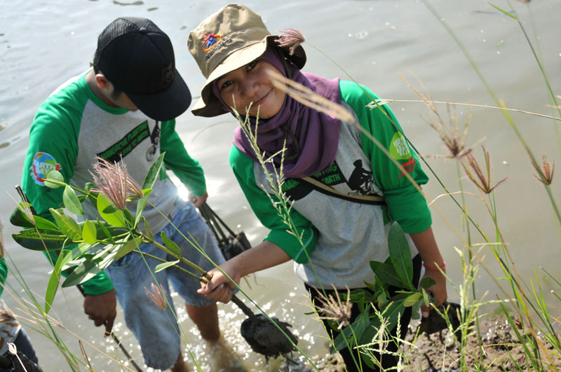 IDEP Foundation Replanting Indonesia Mangrove