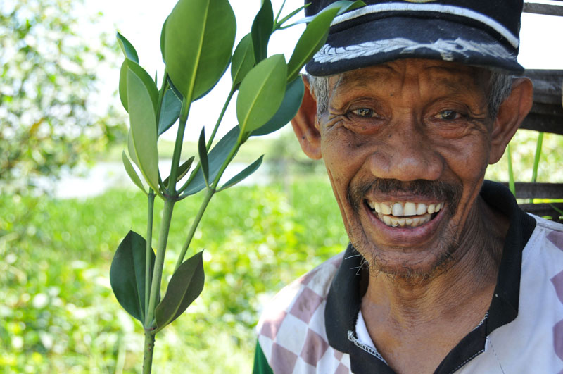 IDEP Foundation Replanting Indonesia Mangroves