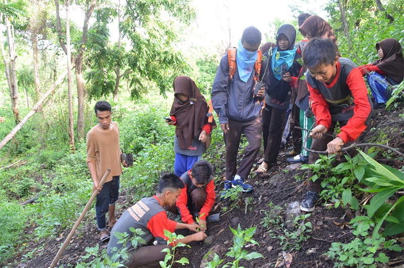 A community treasure, the “panda bear” of avitourism on Lombok