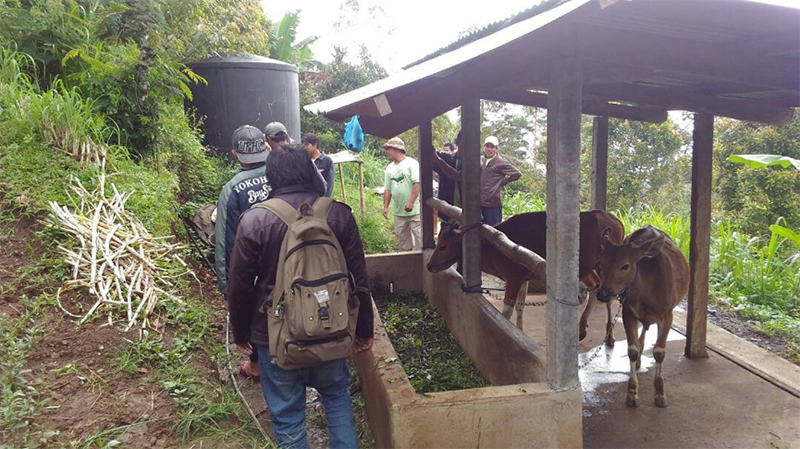 Learning Permaculture In The Midst of Mist – Seed Saving & Sustainable Energy Program in Pedawa