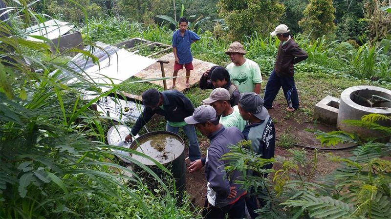 Learning Permaculture In The Midst of Mist – Seed Saving & Sustainable Energy Program in Pedawa