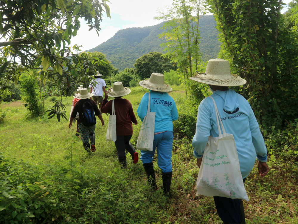 Hutan Sumberklampok 2