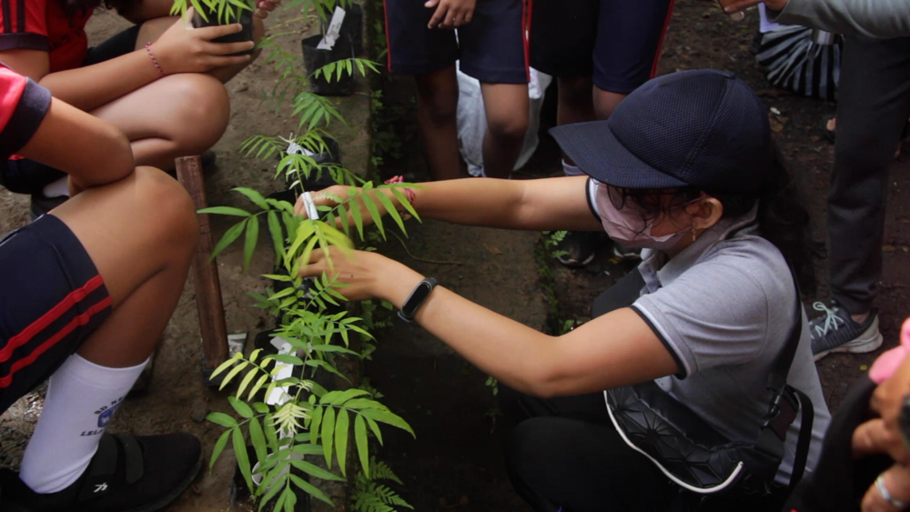 Tree Planting 6