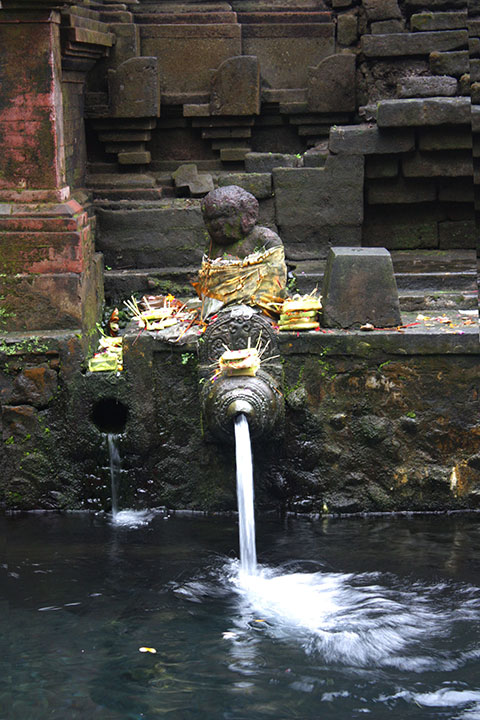 IDEP Foundation - Bali Water Protection Program - Water