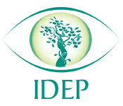 IDEP Foundation